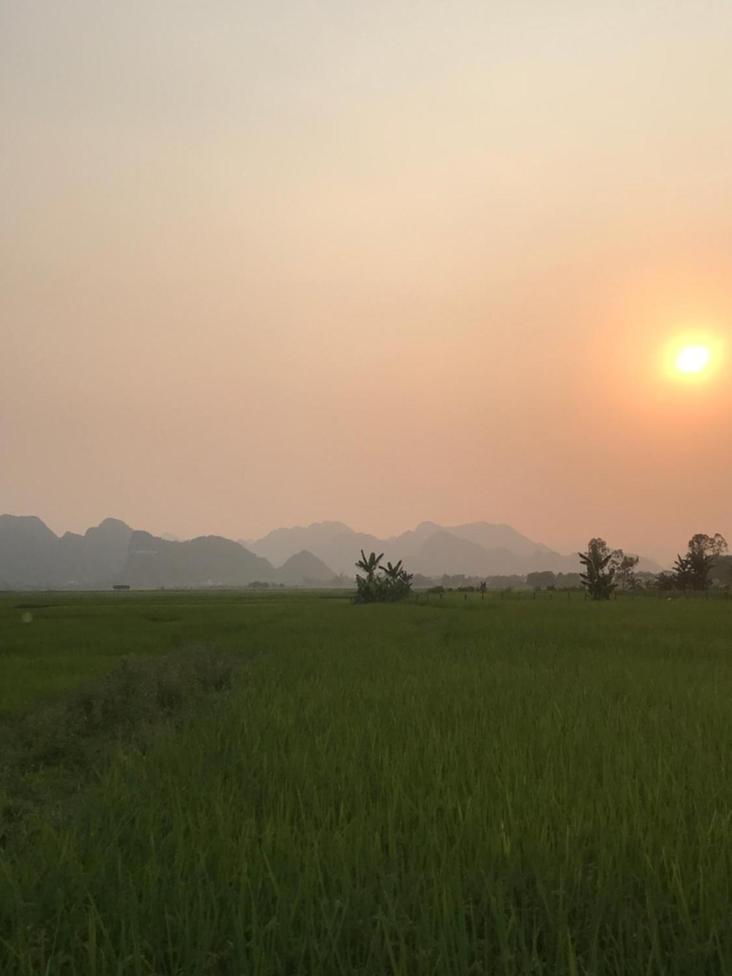 Happy Field Homestay Phong Nha Exteriör bild